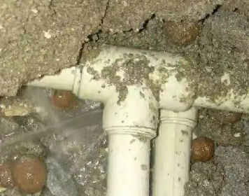 孙吴测漏水多少钱