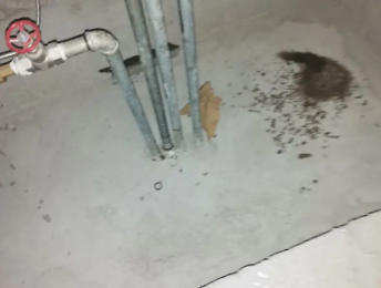 孙吴卫生间测漏水价格明细