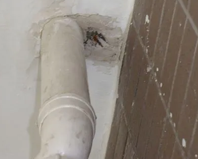 孙吴漏水检测哪家好